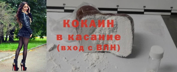 шишки Арсеньев
