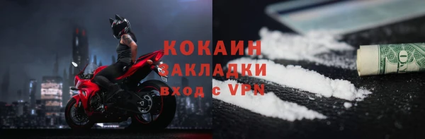 шишки Арсеньев