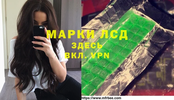 шишки Арсеньев