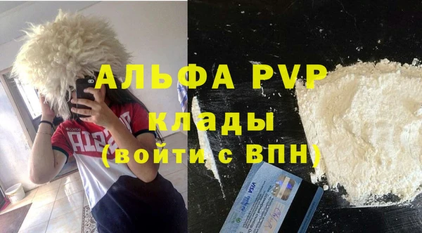 шишки Арсеньев