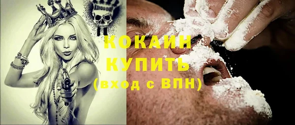 шишки Арсеньев