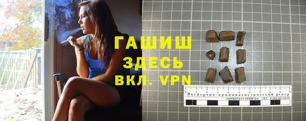 шишки Арсеньев